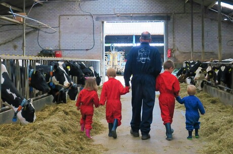 Jong geleed, oud gedaan!