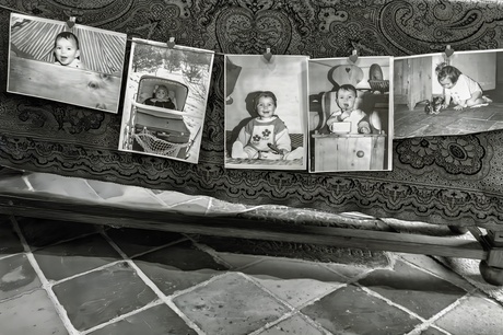 De lévéslòòp van krib tot kaas