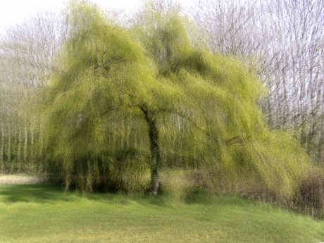 Fris groen