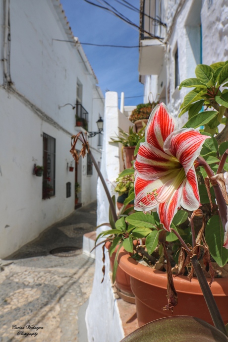 Frigiliana