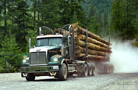 Trucks and logging