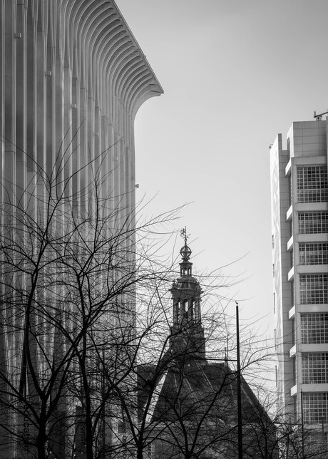 Den Haag in 100 foto's