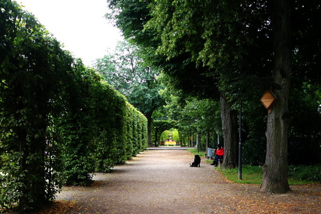 Paleistuin