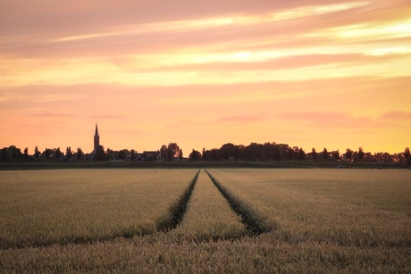 Gouden uurtje in de Beemster 