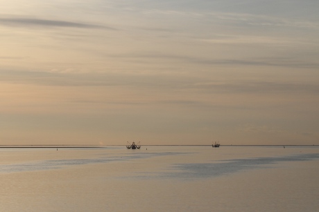 Gouden vangst