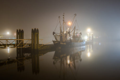 Kotter in de mist