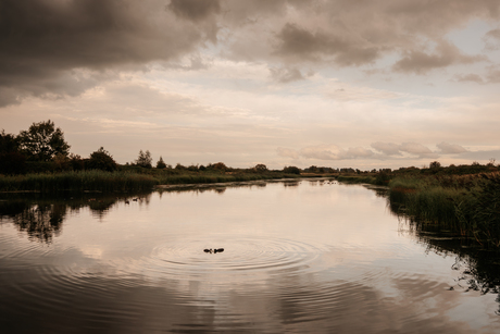 Dintelse Gorzen in de vroege ochtend