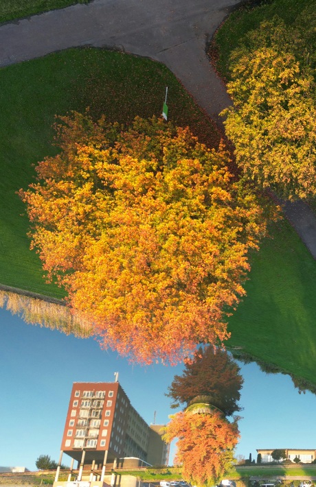 Herfstweerspiegeling