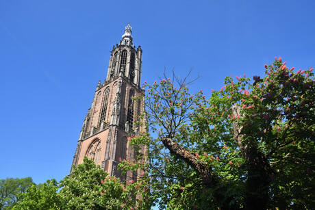 Onze Lieve Vrouwentoren. 