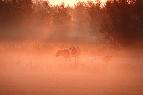 Mooie zonsopkomst 