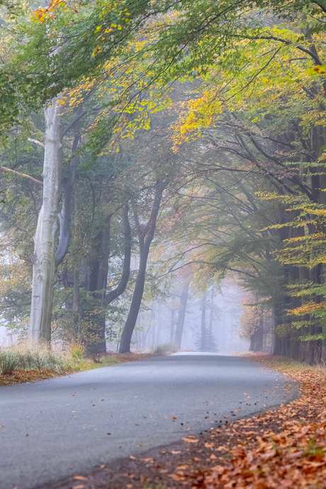 Herfst op de toeristenweg op de grens met Holten en Nijverdal 