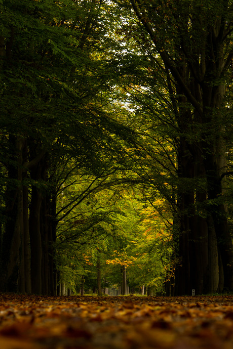 Herfst in aantocht.