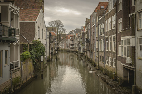 Dordrecht 2024