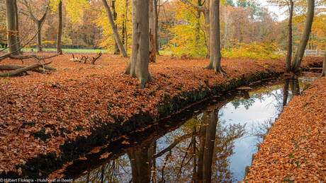 Beekje in de herfst