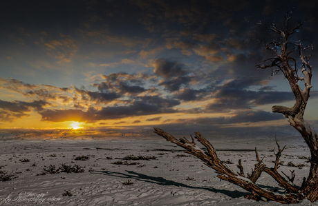 Natuur & Landschap