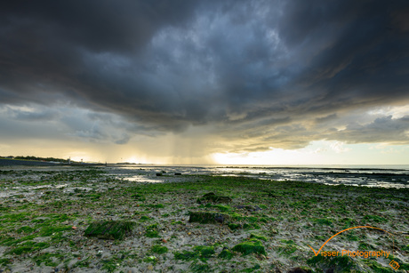 Waddenzee