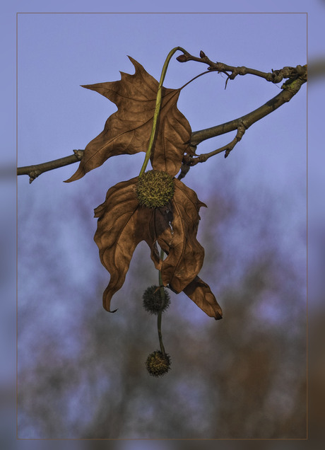 en dat hangt...........................