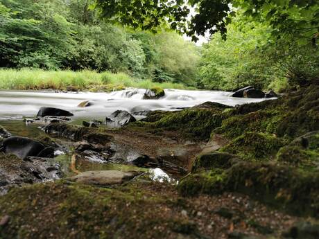 Het prachtige natuur in Engeland