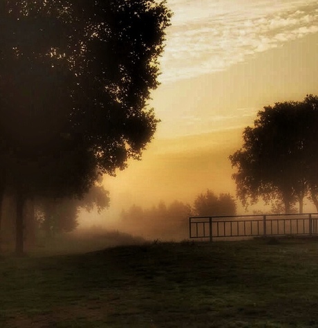 Nevelige zonsopkomst 