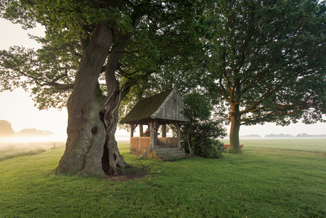 Ochtend bij de Kroezeboom