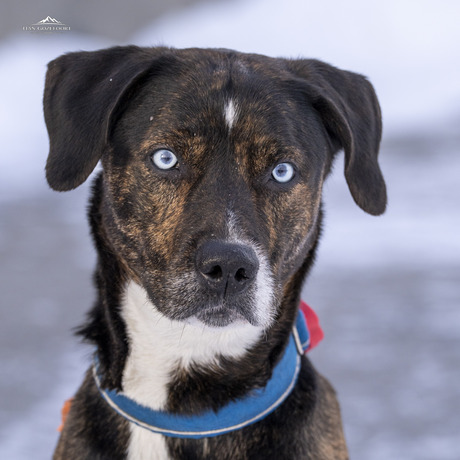 Frosty eyes in artic conditions