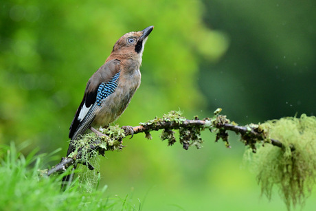 Waar blijft die zon?