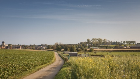 Rutten-dorp