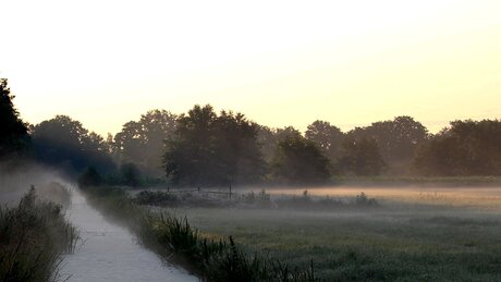 Tôt hier matin.