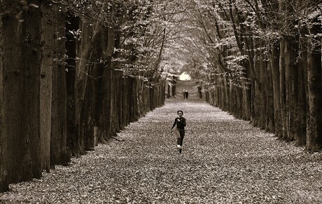 Bewegen altijd en overal