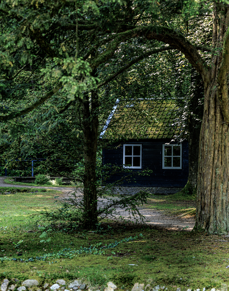 het huisje midden in het bos 
