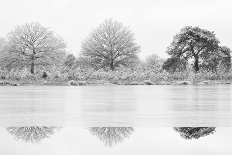 Spiegeling