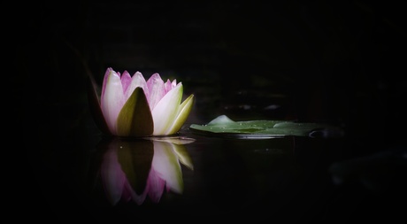 Drifting away...