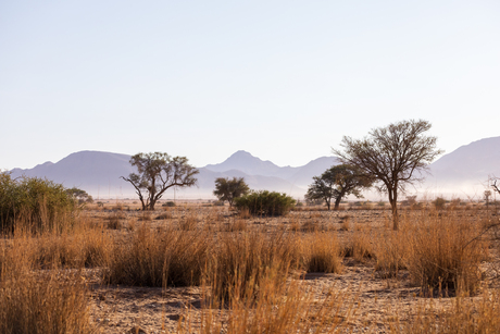 Zonsopkomst aan de rand van Namib Desert