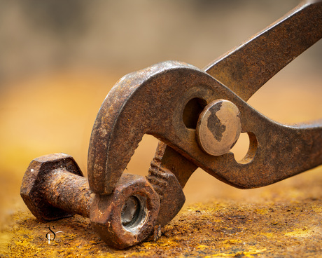 Fotostacking/macro