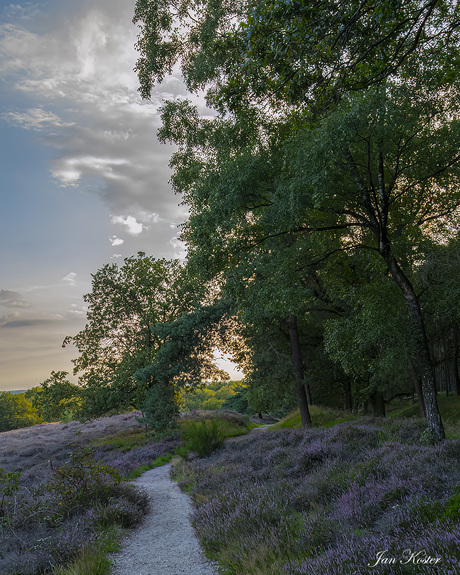 avond wandeling