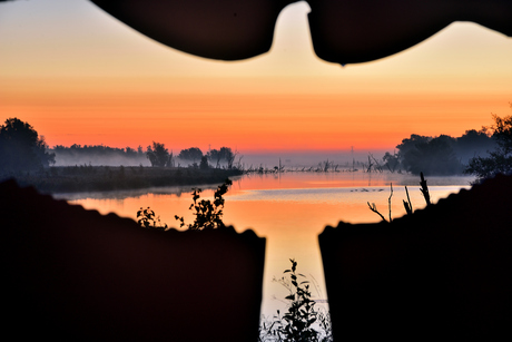 Biesbosch zonsopkomst