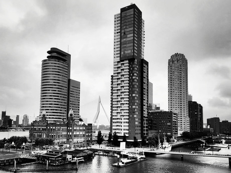 Rotterdam 01