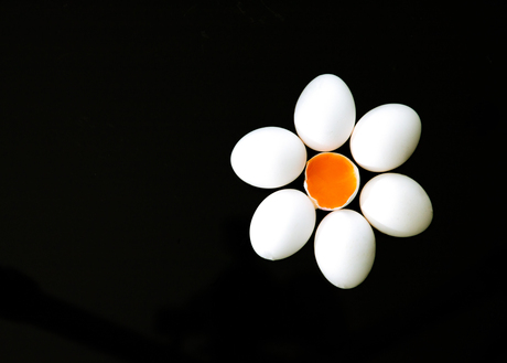 Bijna lente en bijna pasen.