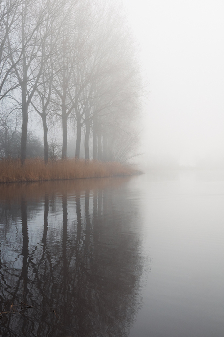 Mist