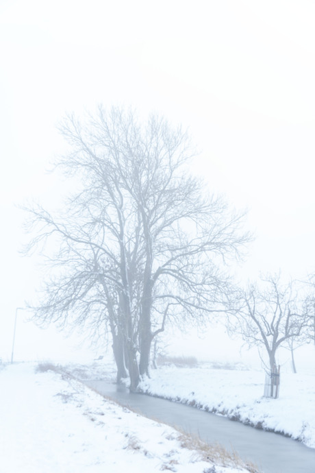 mist en sneeuw