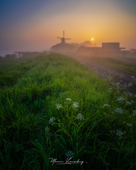 Foggy sunrise