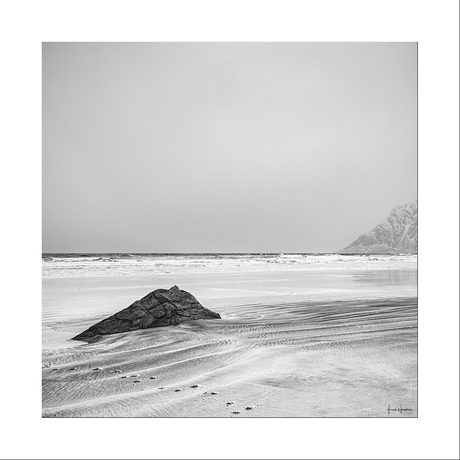 Shoreland XII