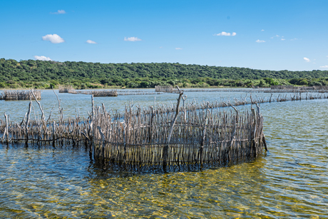 Zuid Africa, Kosi Bay