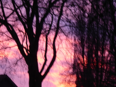 1 januari 2026 Eerste