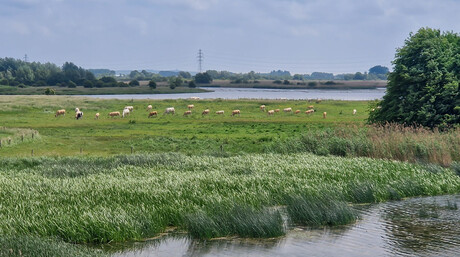 Stiltegebied Groessen