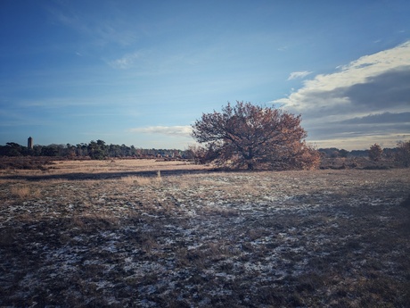 Winter  ochtend