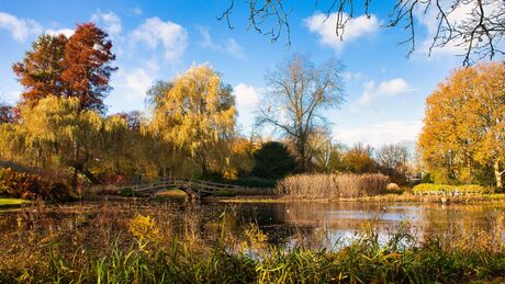 Broersepark Amstelveen in herfst