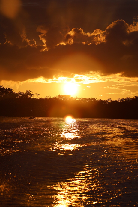 Zonsondergang Amazone