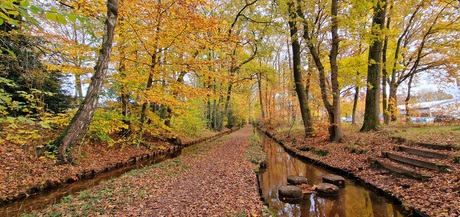 Sprengen in herfstmodus