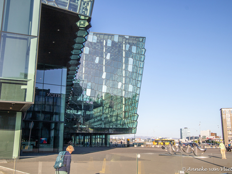 Harpa